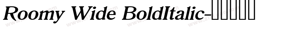 Roomy Wide BoldItalic字体转换